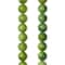 12 Pack: Green Shell Round Beads, 8mm by Bead Landing™